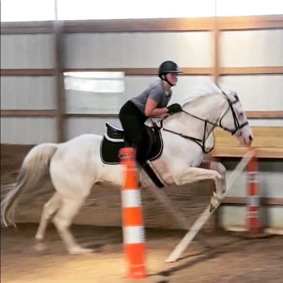 kaitlyn_eq